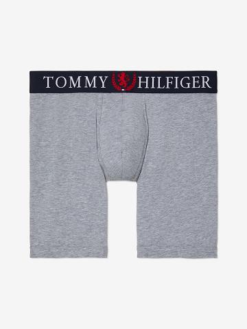 Férfi Tommy Hilfiger Authentic stretch boxer brief Boxer Briefs Szürke | HU 1351NWY